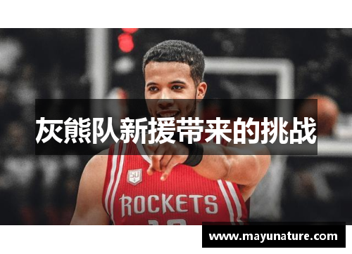 灰熊队新援带来的挑战