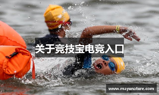 关于竞技宝电竞入口